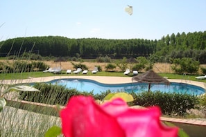 Seasonal outdoor pool, pool umbrellas, pool loungers