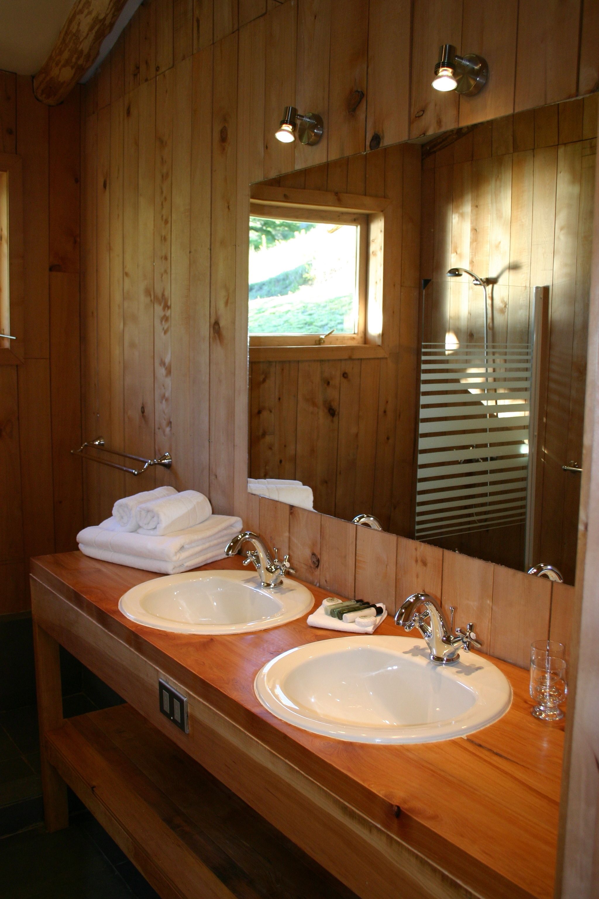 standard room | bathroom sink