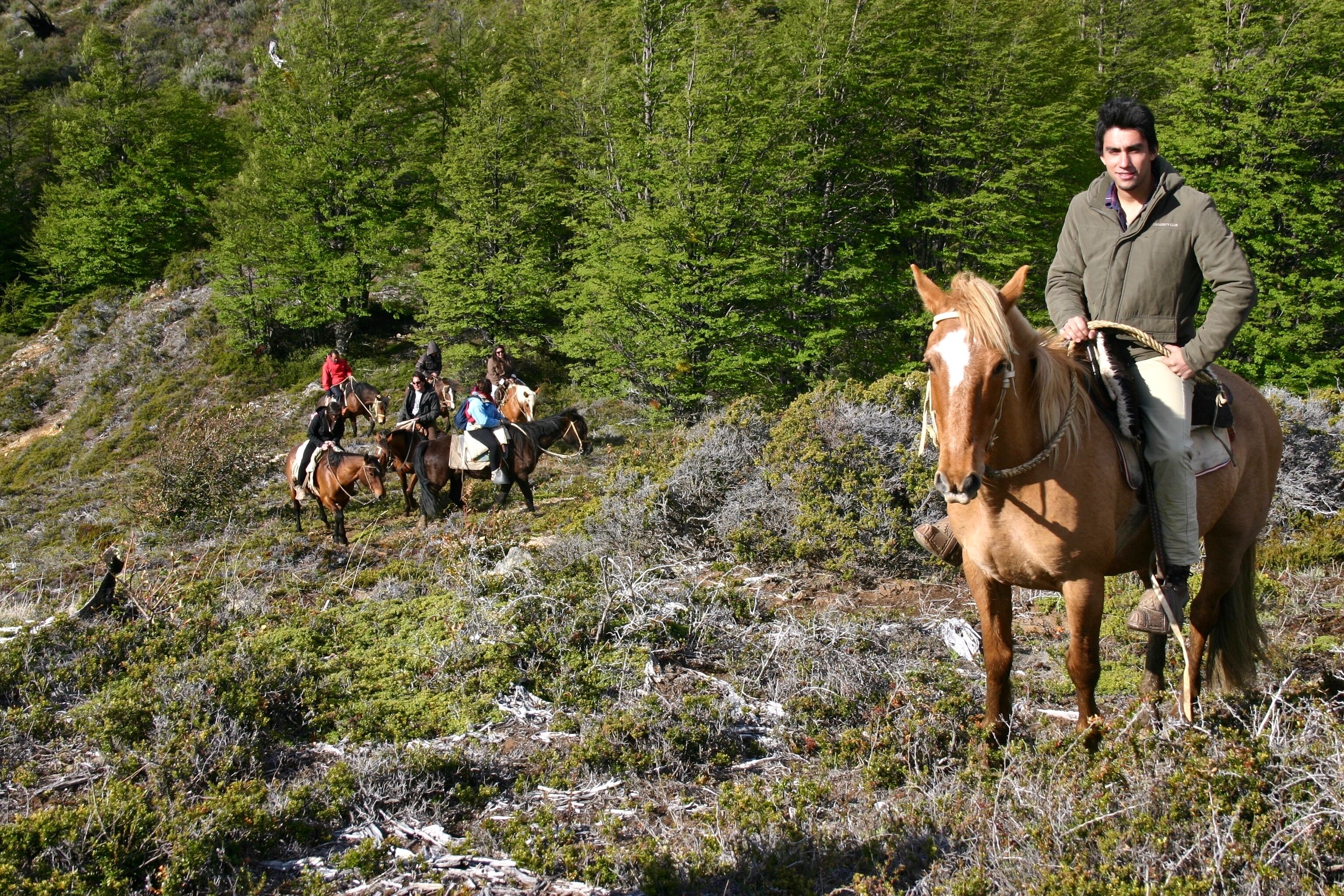 A person riding a horse on a grassy hillside with other riders in the background.