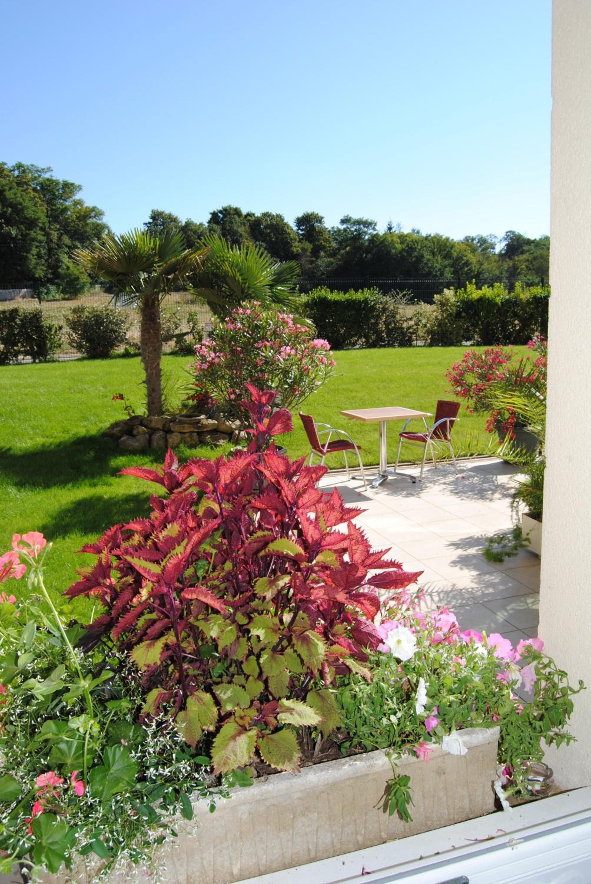 Un patio con mesa y sillas, rodeado de abundante follaje y plantas con flores.