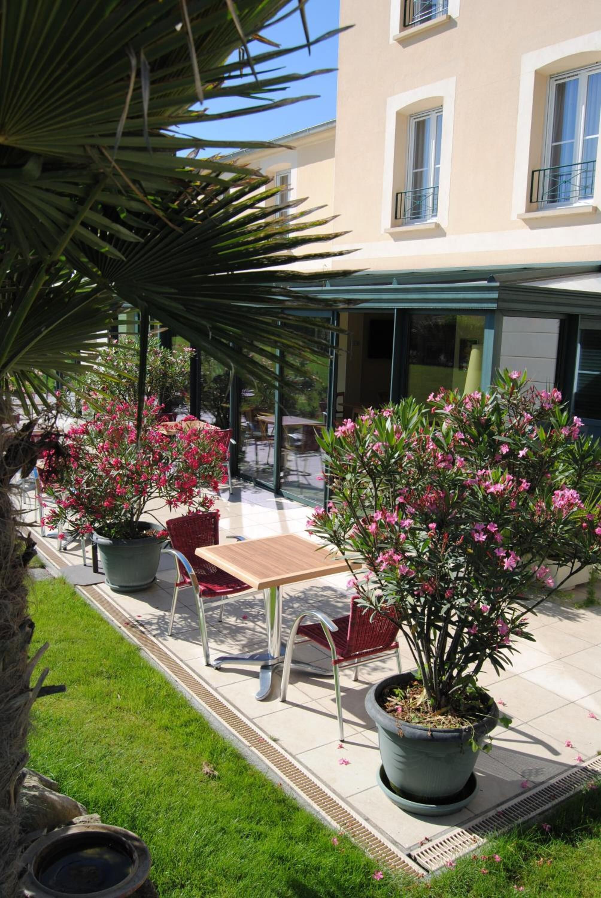 An outdoor patio area with a table and chairs, surrounded by potted plants and a palm tree.