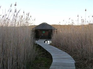 A wooden pathway leading to a thatched-roof structure surrounded by tall grasses. - The Old Trading Post - Guest House (Wilderness)
