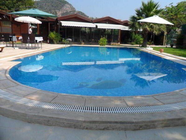Kolam renang