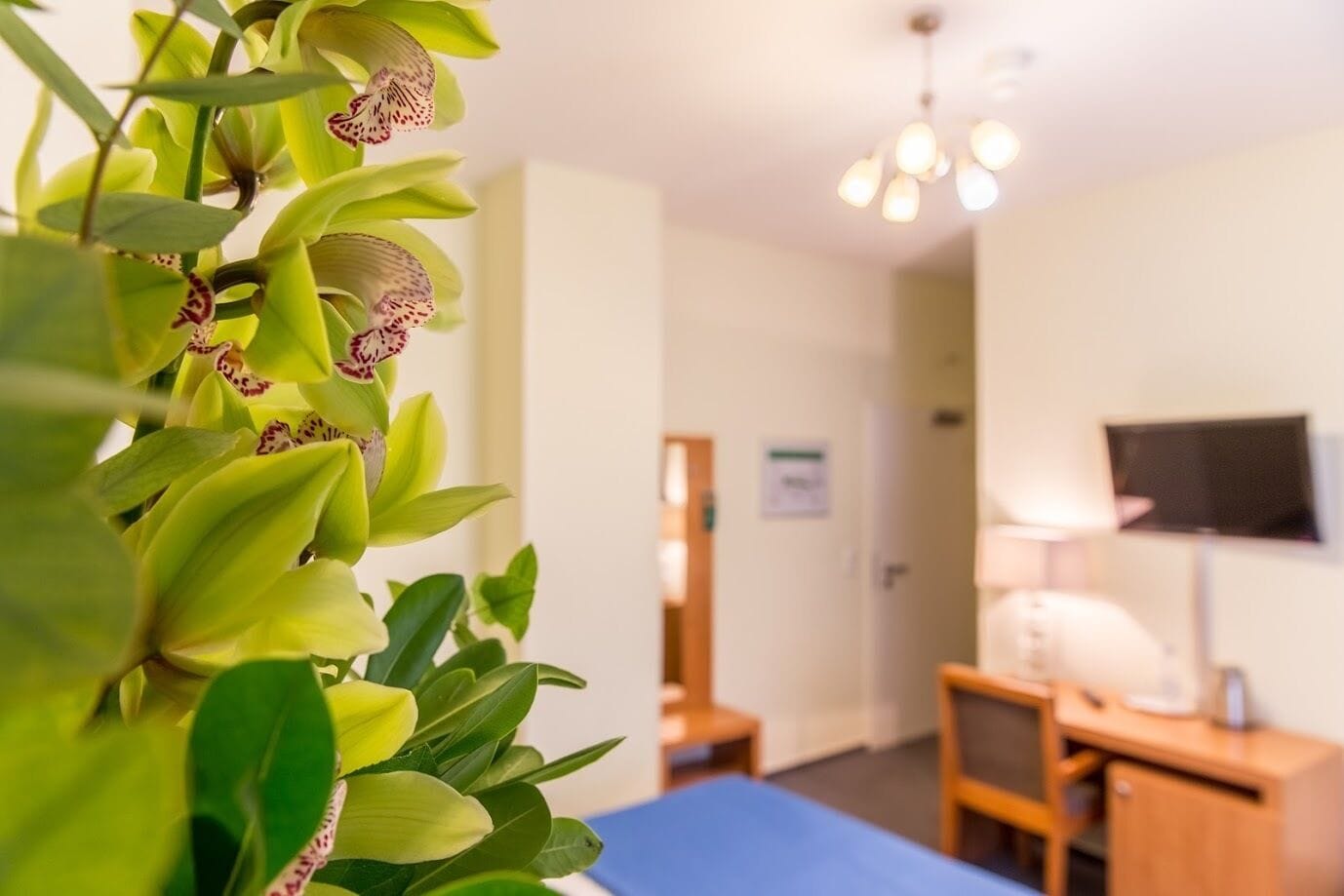 Comfort-Doppelzimmer | Minibar, Schreibtisch, laptopgeeigneter Arbeitsplatz