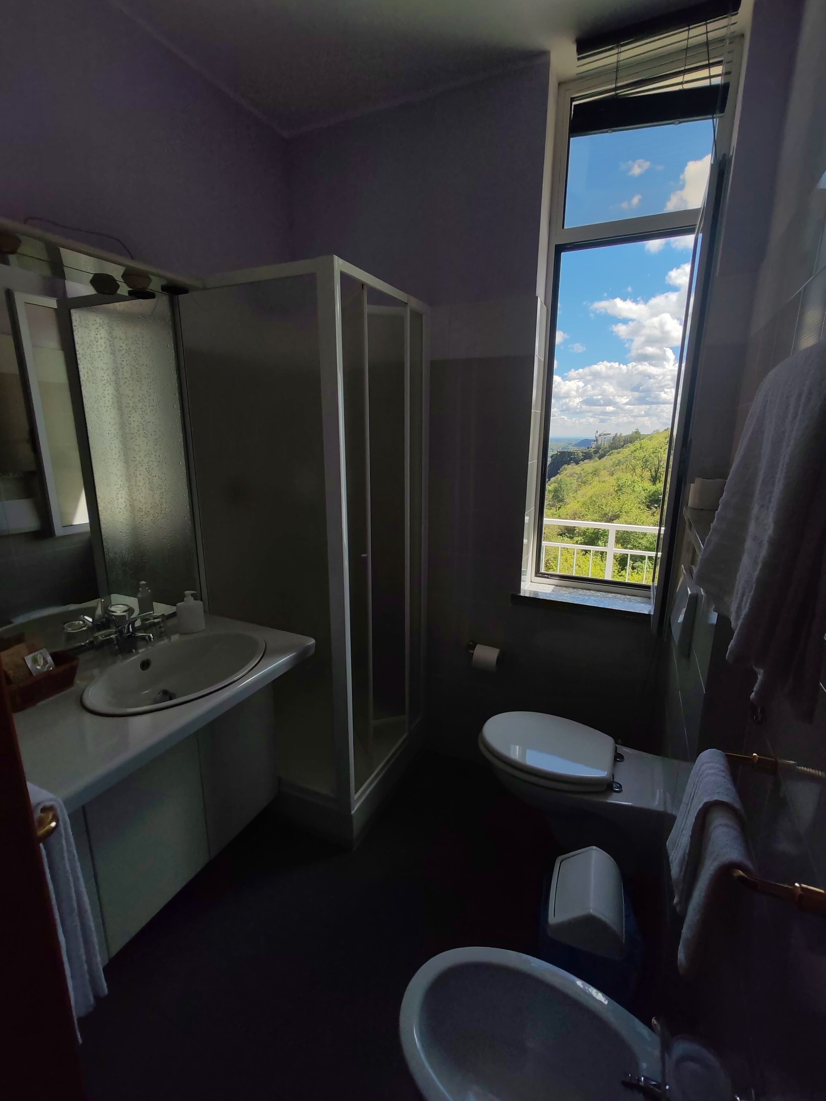 superior double or twin room, lake view | bathroom | shower, rainfall showerhead, free toiletries, hair dryer