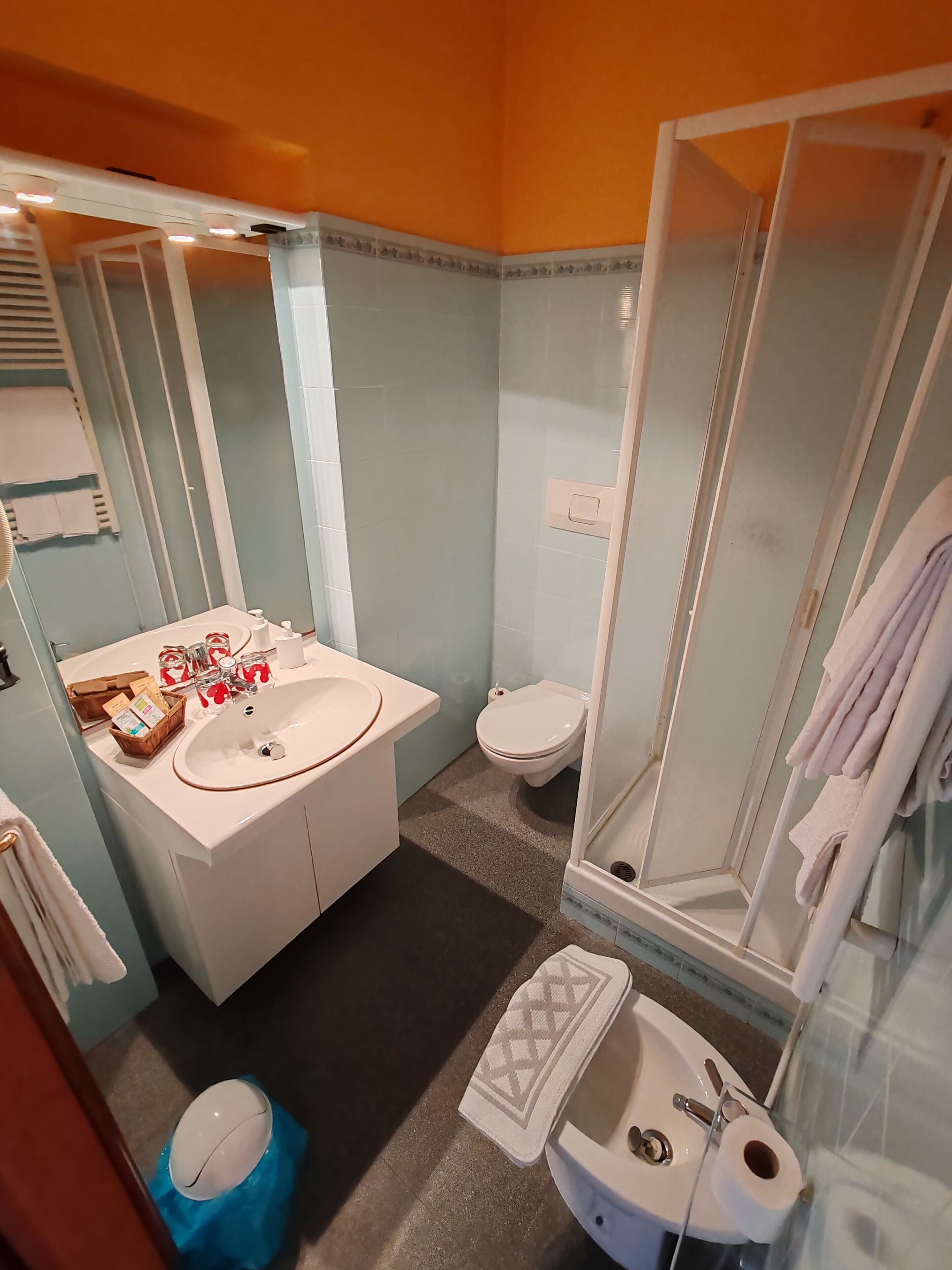 basic double or twin room, park view, garden area | bathroom | shower, rainfall showerhead, free toiletries, hair dryer