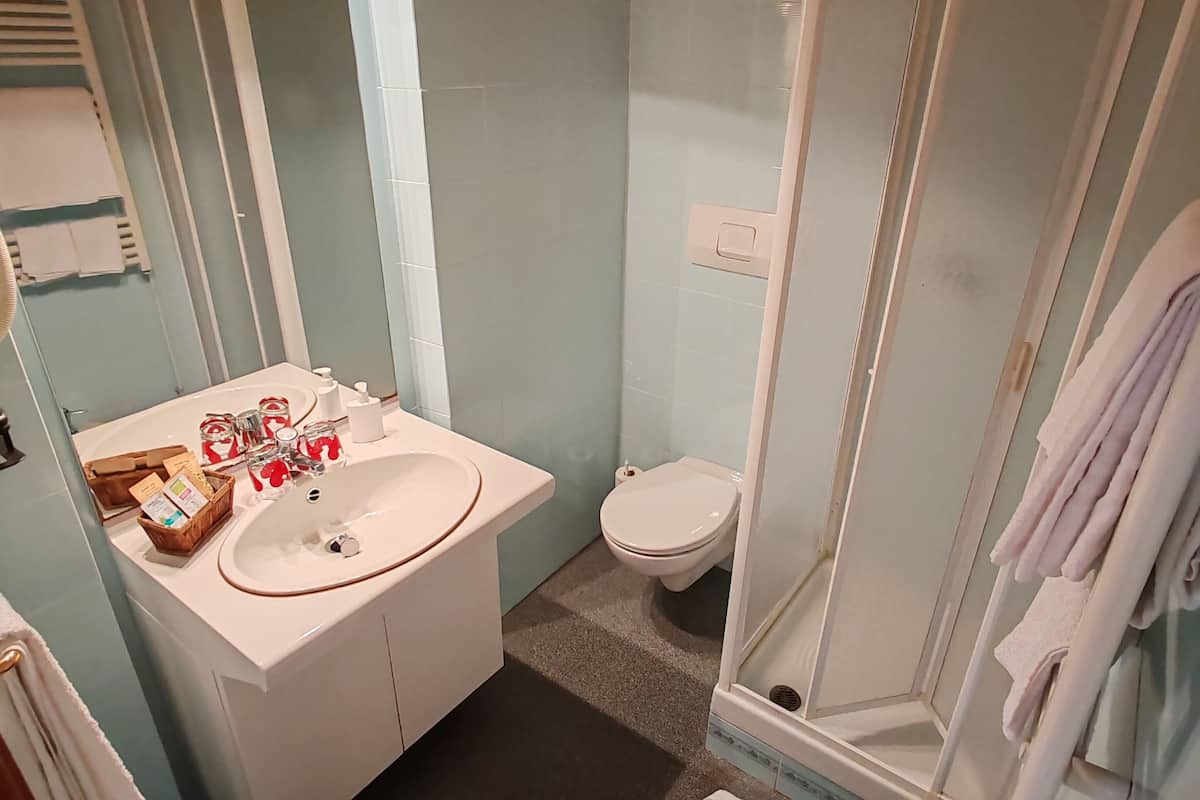 basic double or twin room, park view, garden area | bathroom | shower, rainfall showerhead, free toiletries, hair dryer