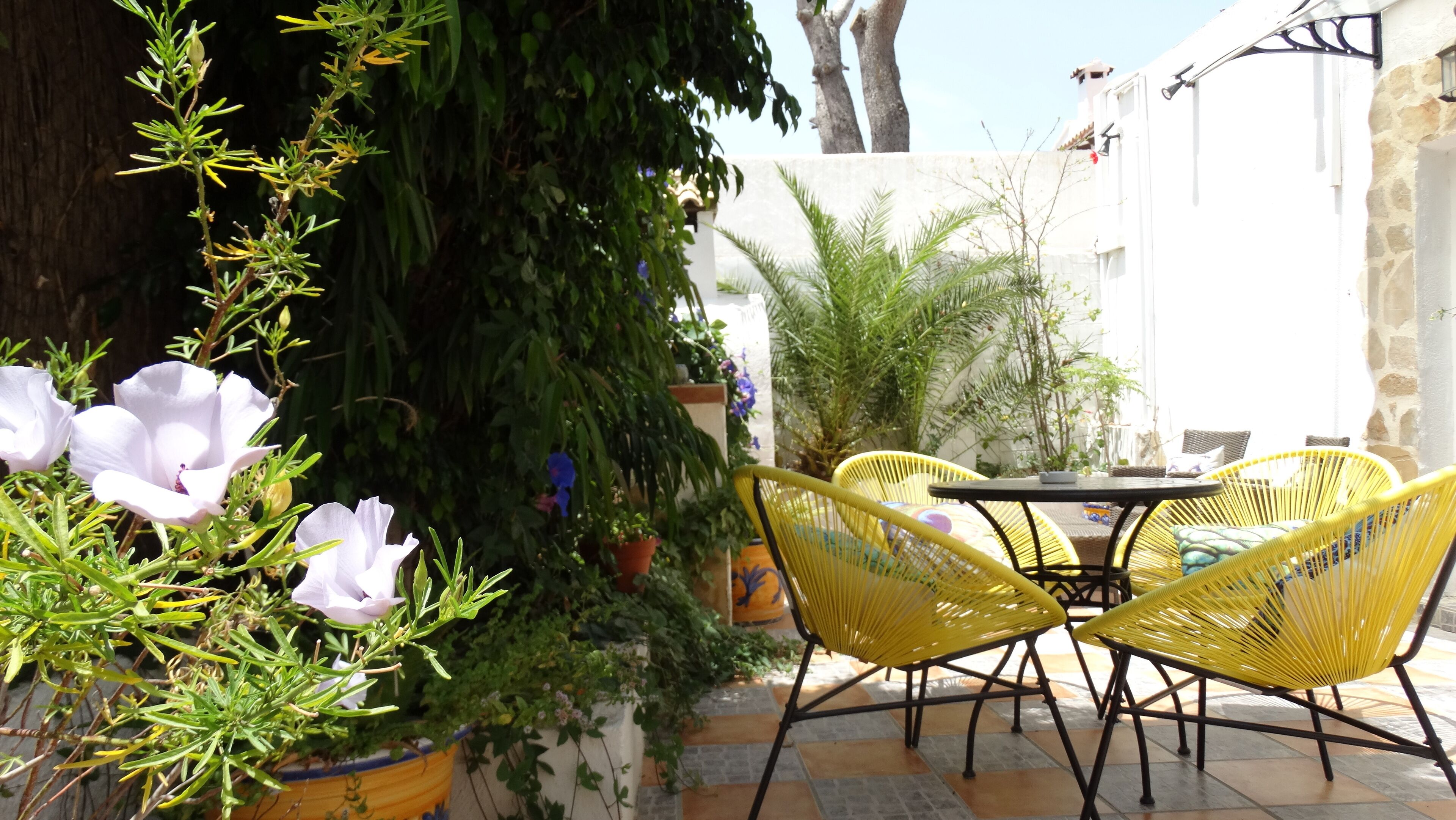 Foto - Hostal La Paloma I