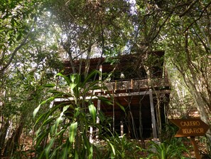 Superior-Chalet, 1 Schlafzimmer, Gartenblick | Außenbereich