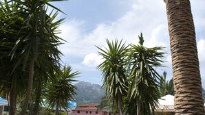 A pool area with palm trees, a clear sky, and a mountain in the background. - Hotel Marinella (Marciana Marina)