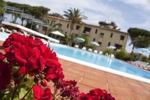 Un espace piscine agrémenté de fleurs rouges au premier plan, une piscine à l’eau d’un bleu limpide et, au fond, un bâtiment doté de nombreuses fenêtres et de parasols.