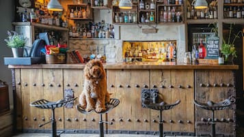 Bar (en la propiedad)
