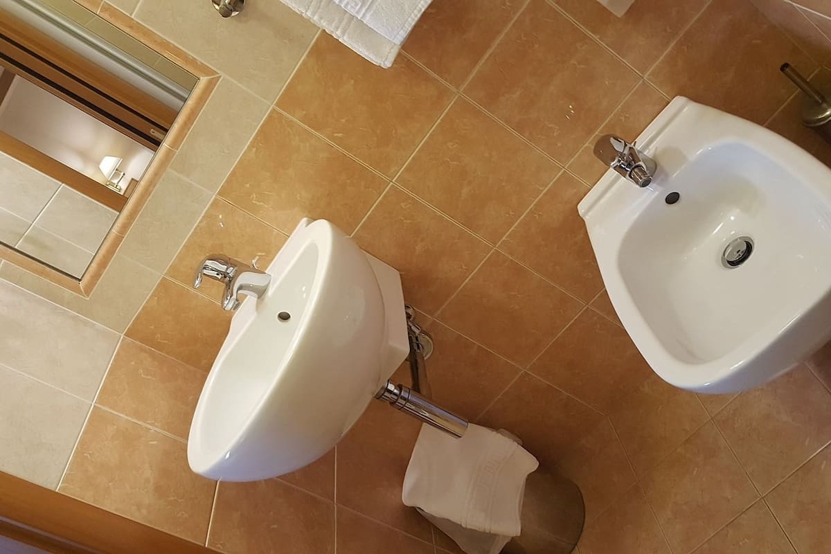 shower, hair dryer, slippers, bidet