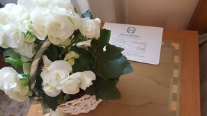 Draps italiens Frette, literie hypoallergénique, matelas Select Comfort