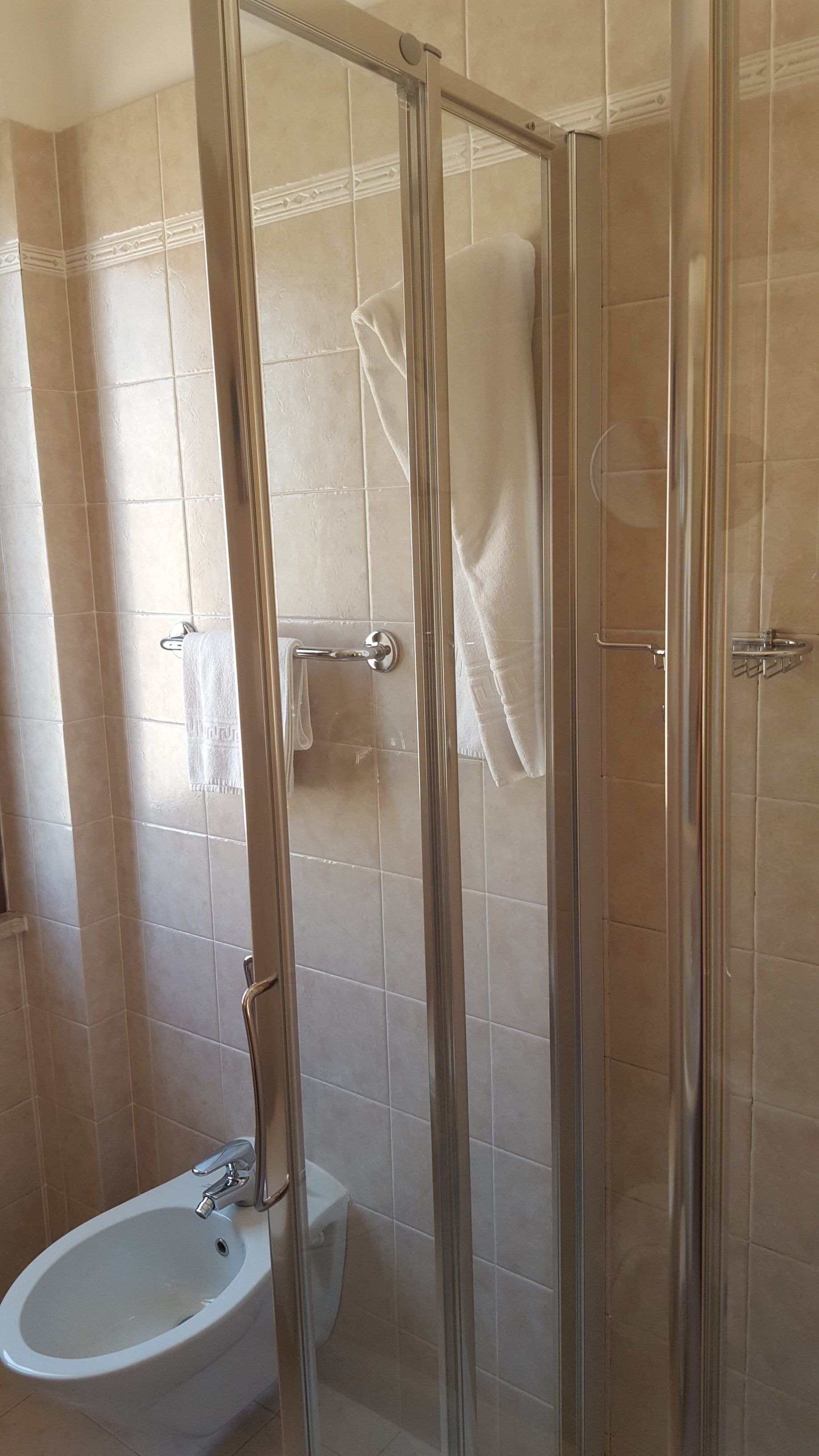 shower, hair dryer, slippers, bidet