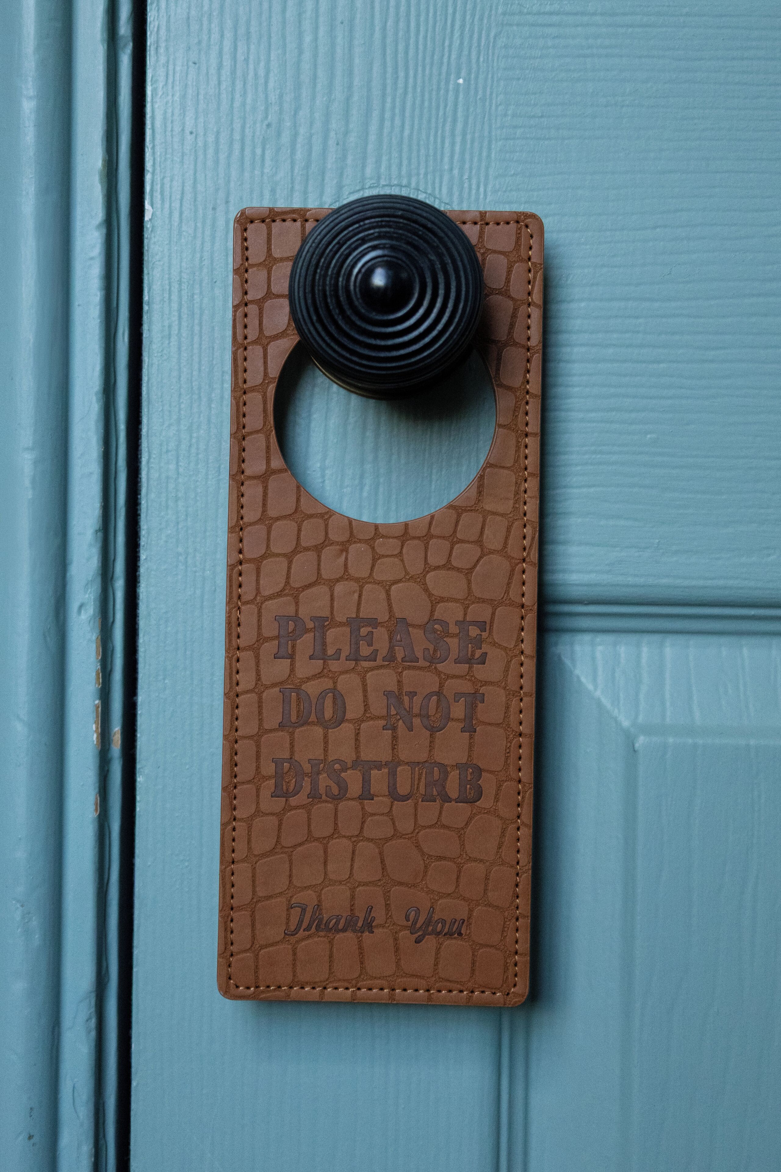 En brun ringeknap med teksten 'PLEASE DO NOT DISTURB' og 'Thank You' på en blå dør.