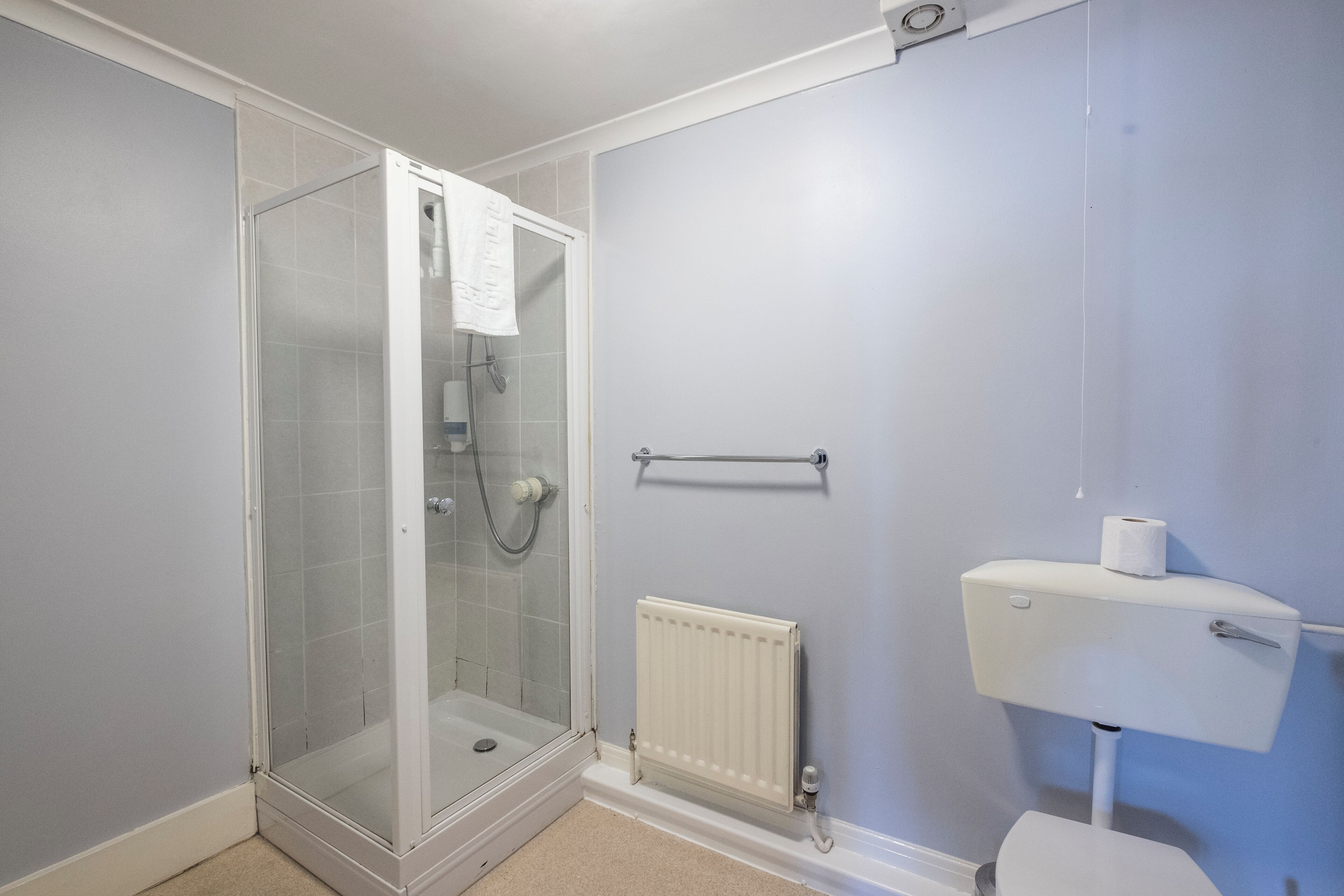Une salle de bain avec une douche à parois de verre, des toilettes et un radiateur.