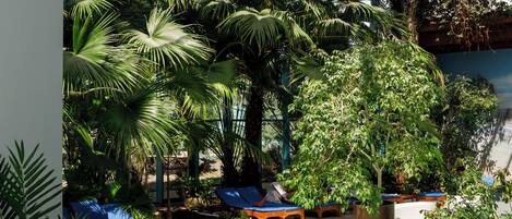 Indoor pool, open 7:00 AM to 11:00 PM, sun loungers