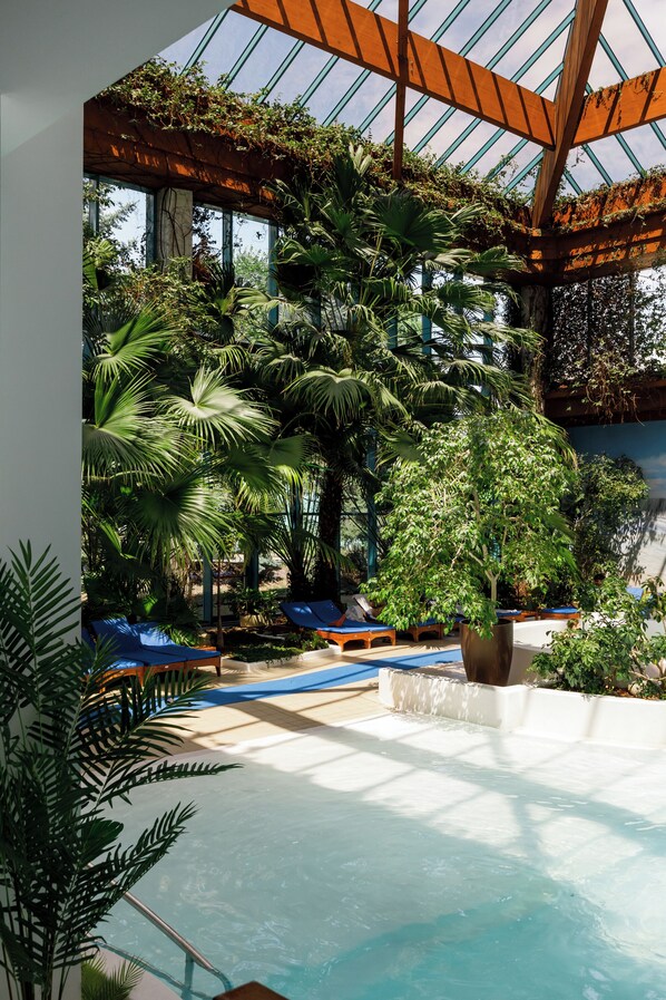 Alberca techada, acceso de 07:00 a 23:00, y camastros 