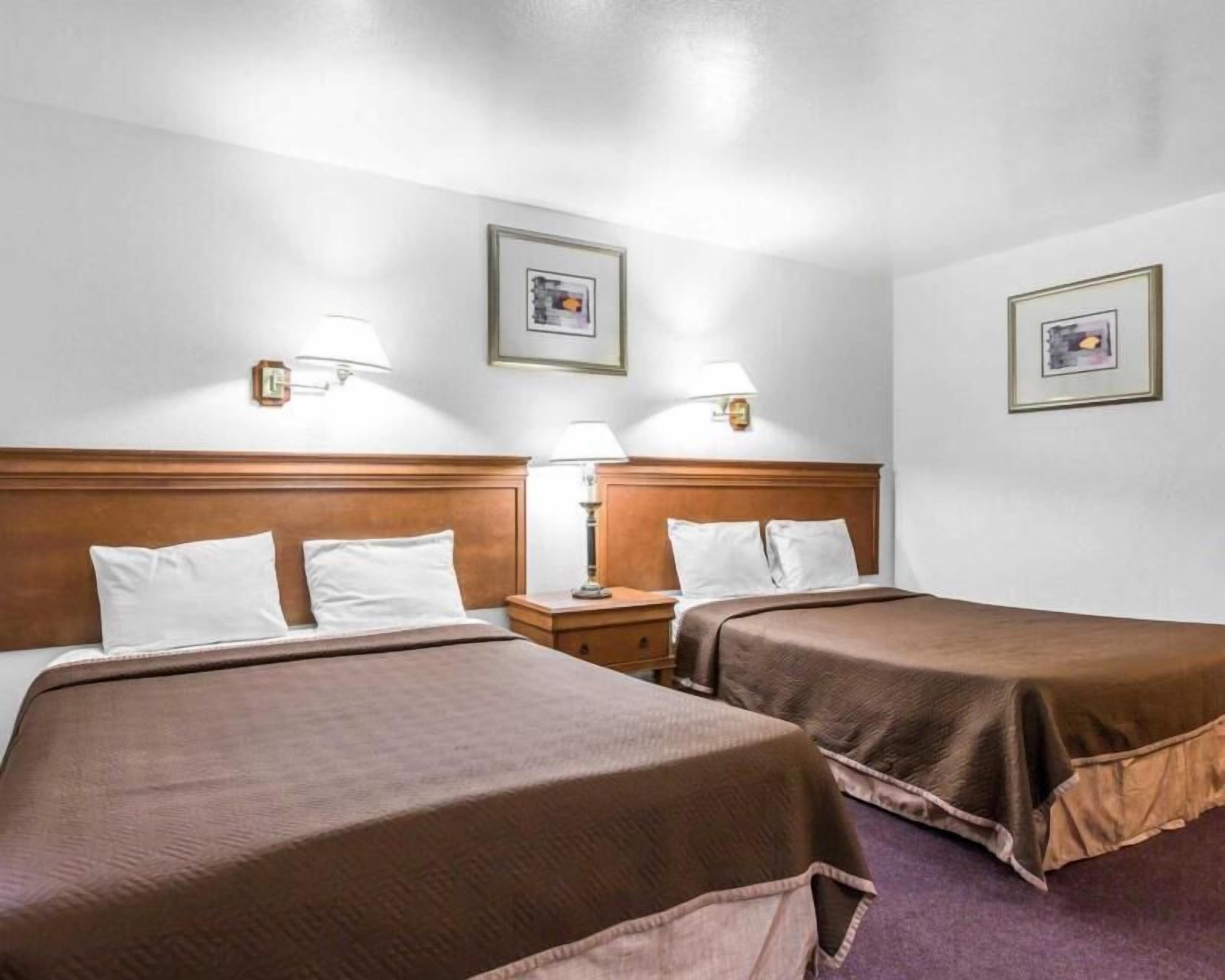 Escritorio, sistema de insonorización y cunas 