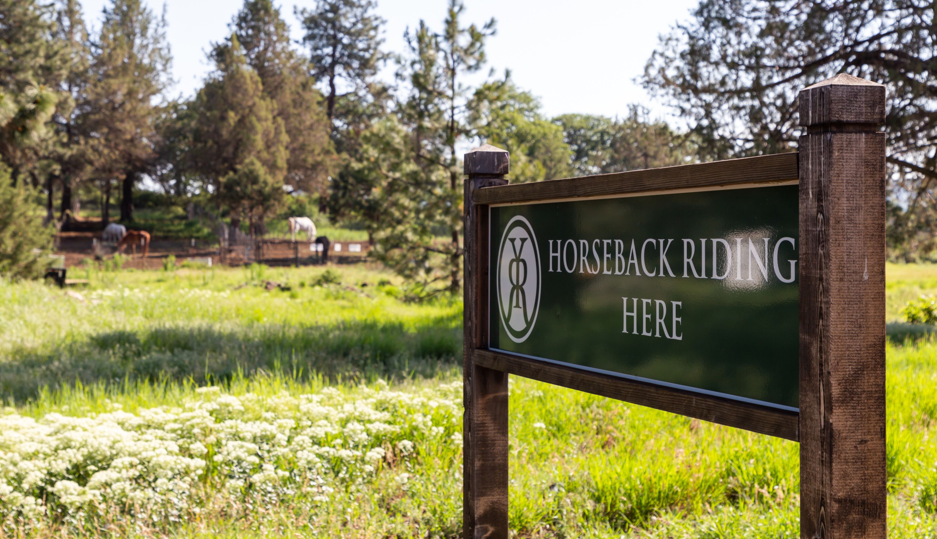 A sign indicating a horseback riding area.