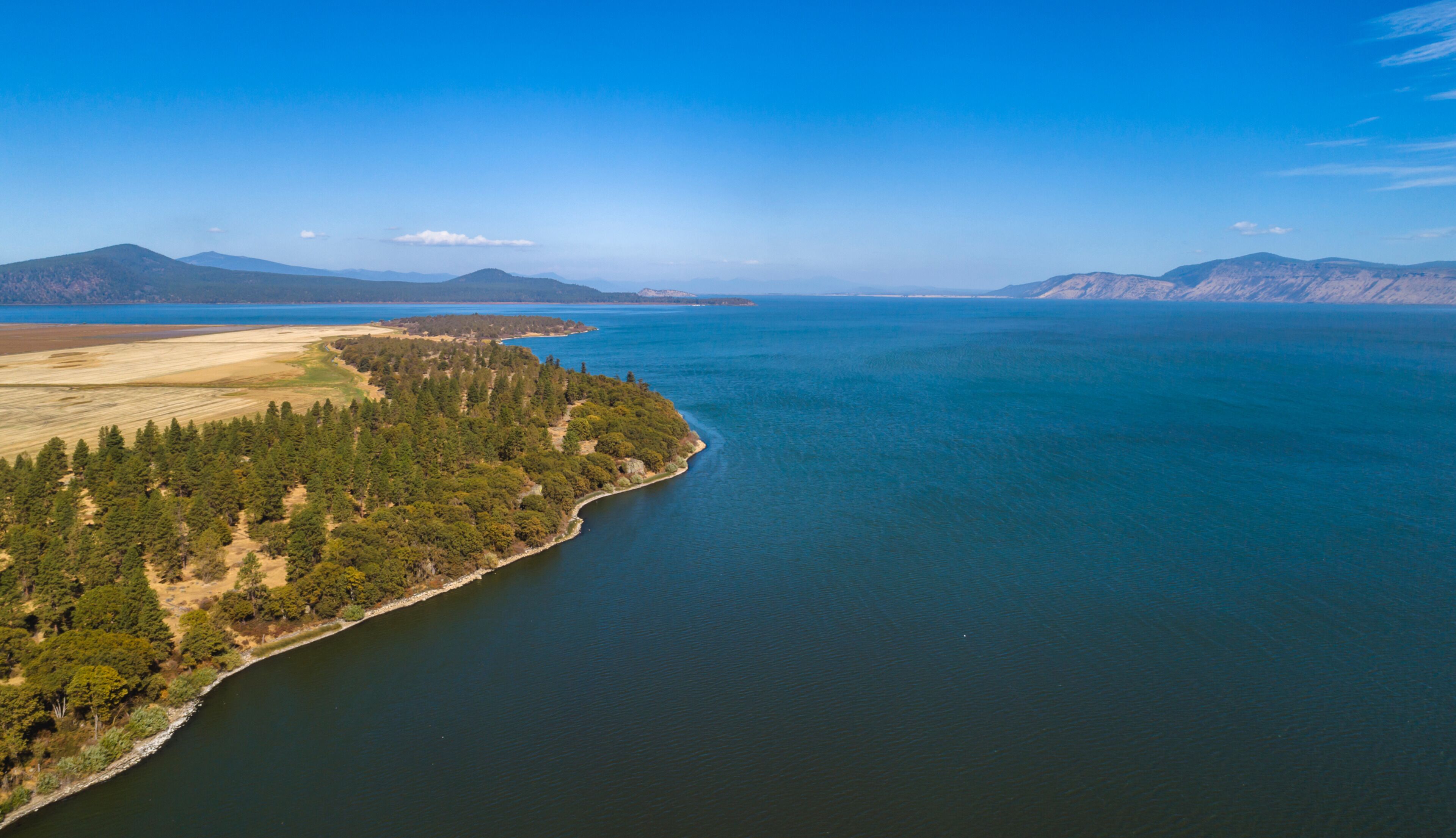 A large body of water with a forested shoreline and distant mountains.