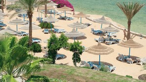 Une plage avec des transats, des parasols et des palmiers.