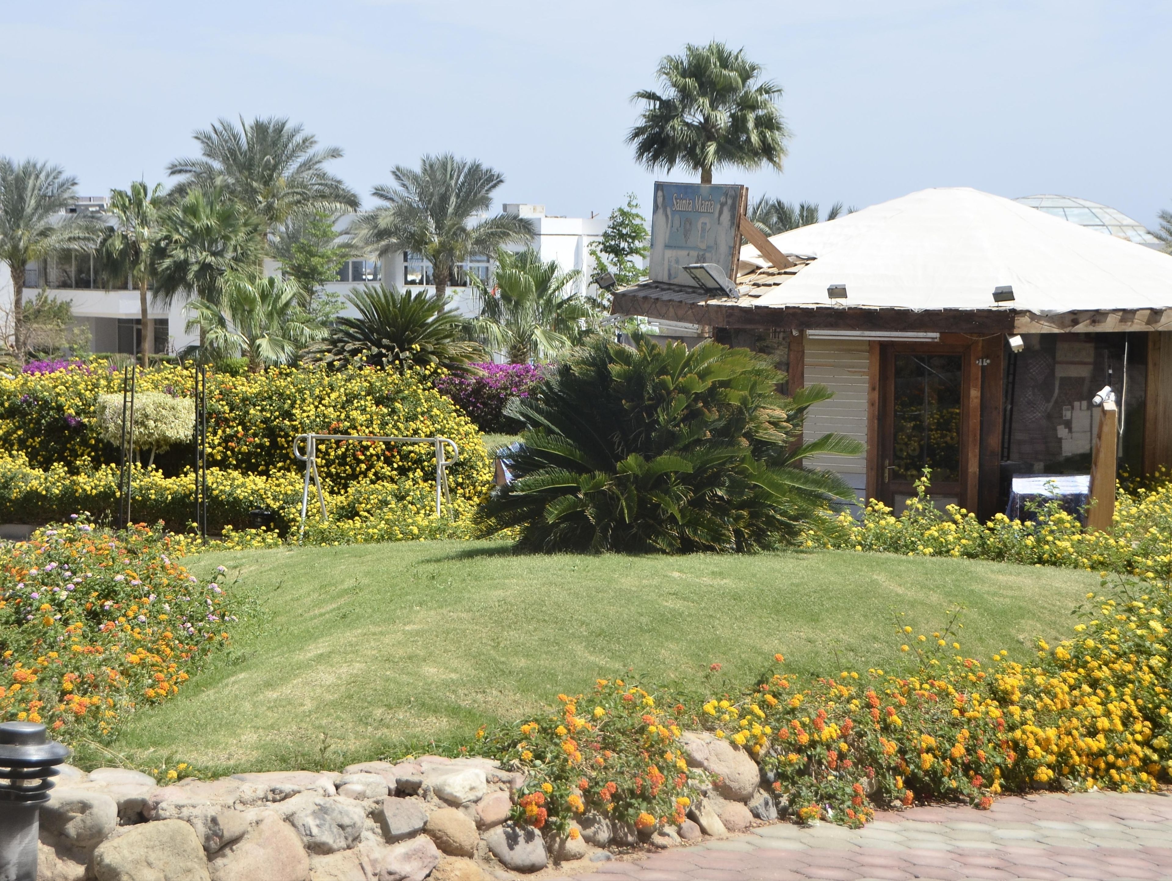 Photo - Queen Sharm Aqua Park Hotel