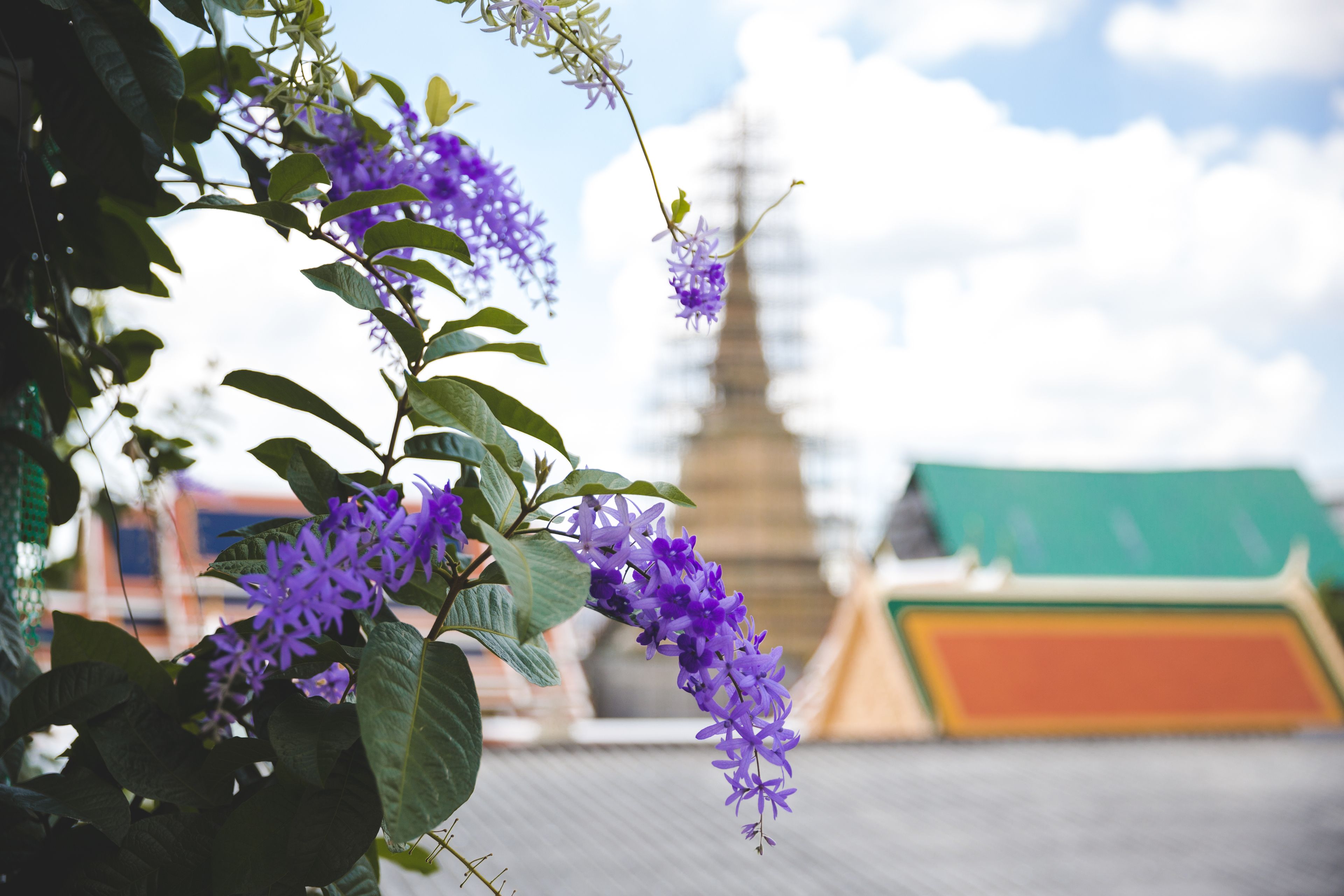 Foto - Feung Nakorn Balcony Rooms and Cafe