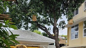 A patio area with wicker chairs, a bar, and a koi pond. - Feung Nakorn Balcony Rooms and Cafe (Bangkok)