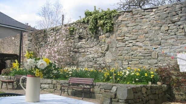A stone wall with flowering plants, a bench, and a table with a pitcher.