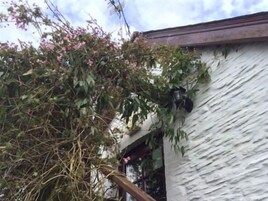 Quarto casal superluxo, suíte (Grainstore Suite Slipper ) | Fachada