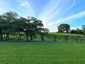 Jardín