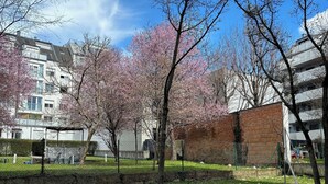 A park with cherry blossom trees, a brick building, and a fenced area with a playground. - Hotel & Apartments Klimt (Vienna)