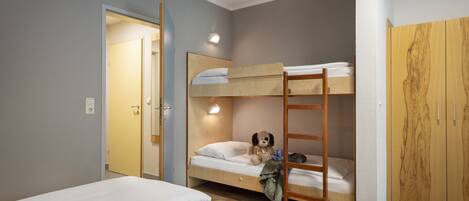 A bunk bed room with a wooden ladder, a small desk, and a wardrobe.