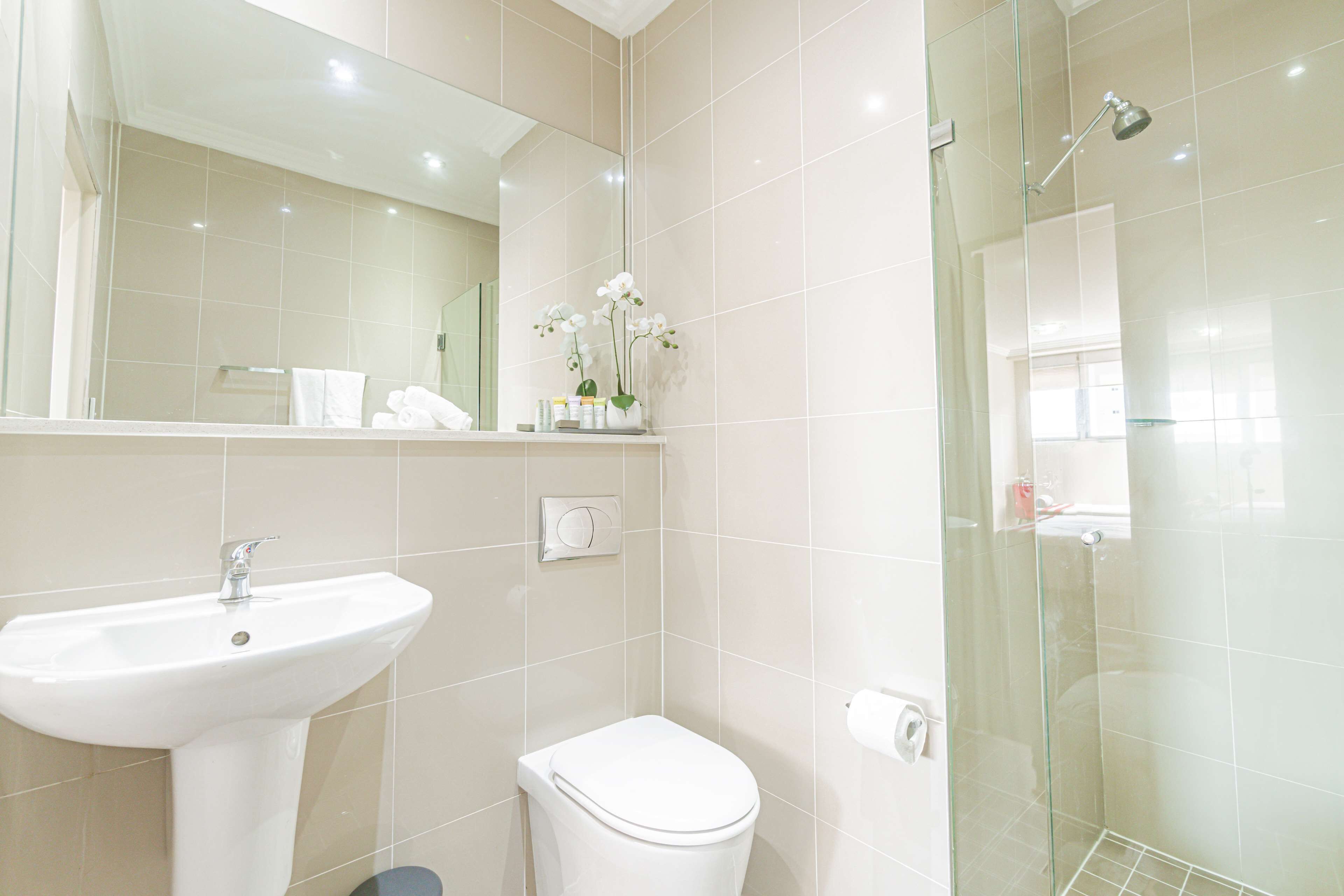 shower, hair dryer, towels, toilet paper