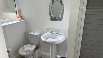 A bathroom with a toilet, sink, and a decorative mirror.