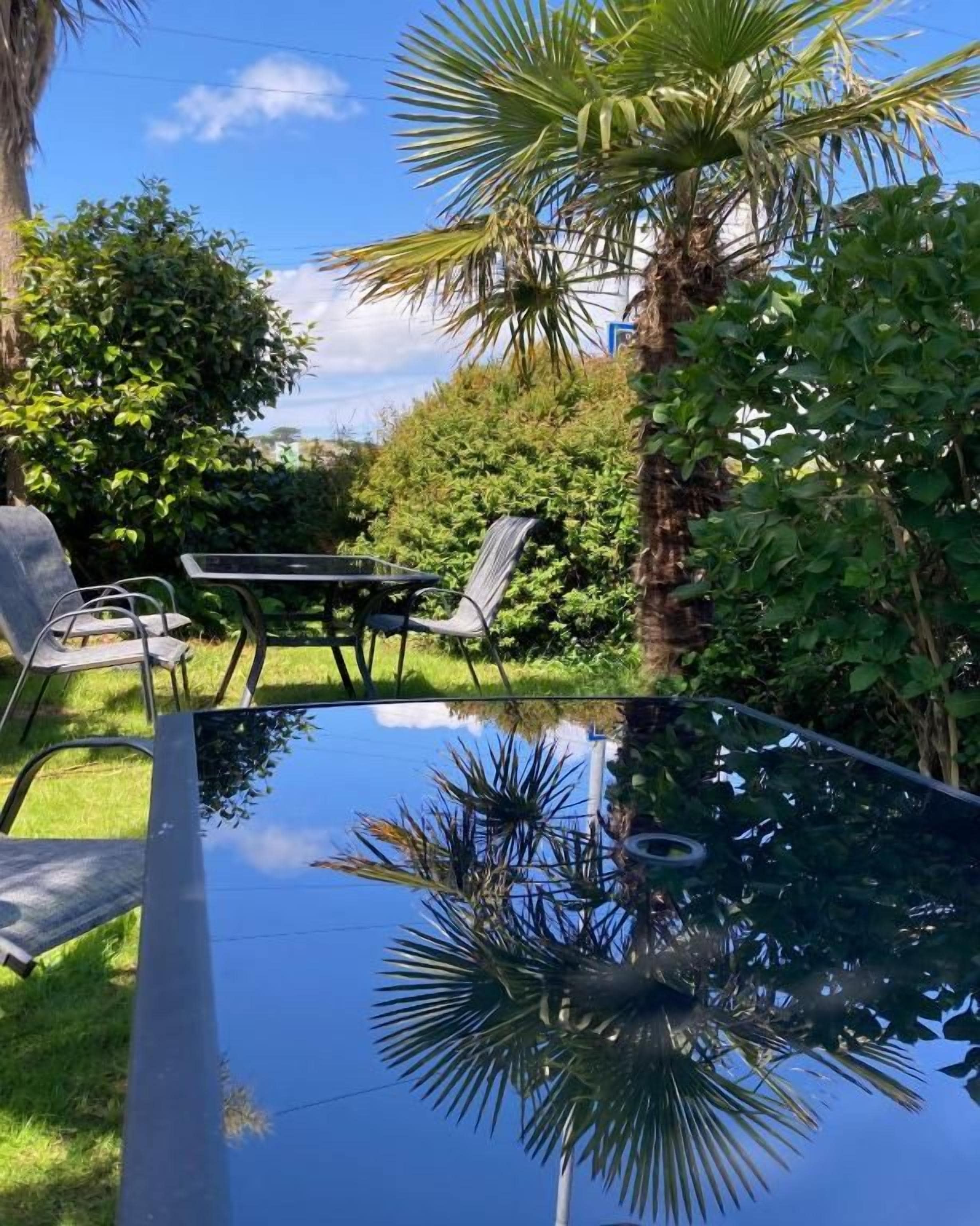A glass-top table with chairs, surrounded by lush greenery and a palm tree.