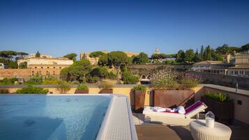 A rooftop pool area with a clear view of historic buildings and trees in the background.