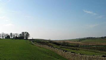 A rural landscape with a stone wall and a green field.