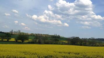 A rural landscape with a field of yellow flowers and rolling hills under a partly cloudy sky.