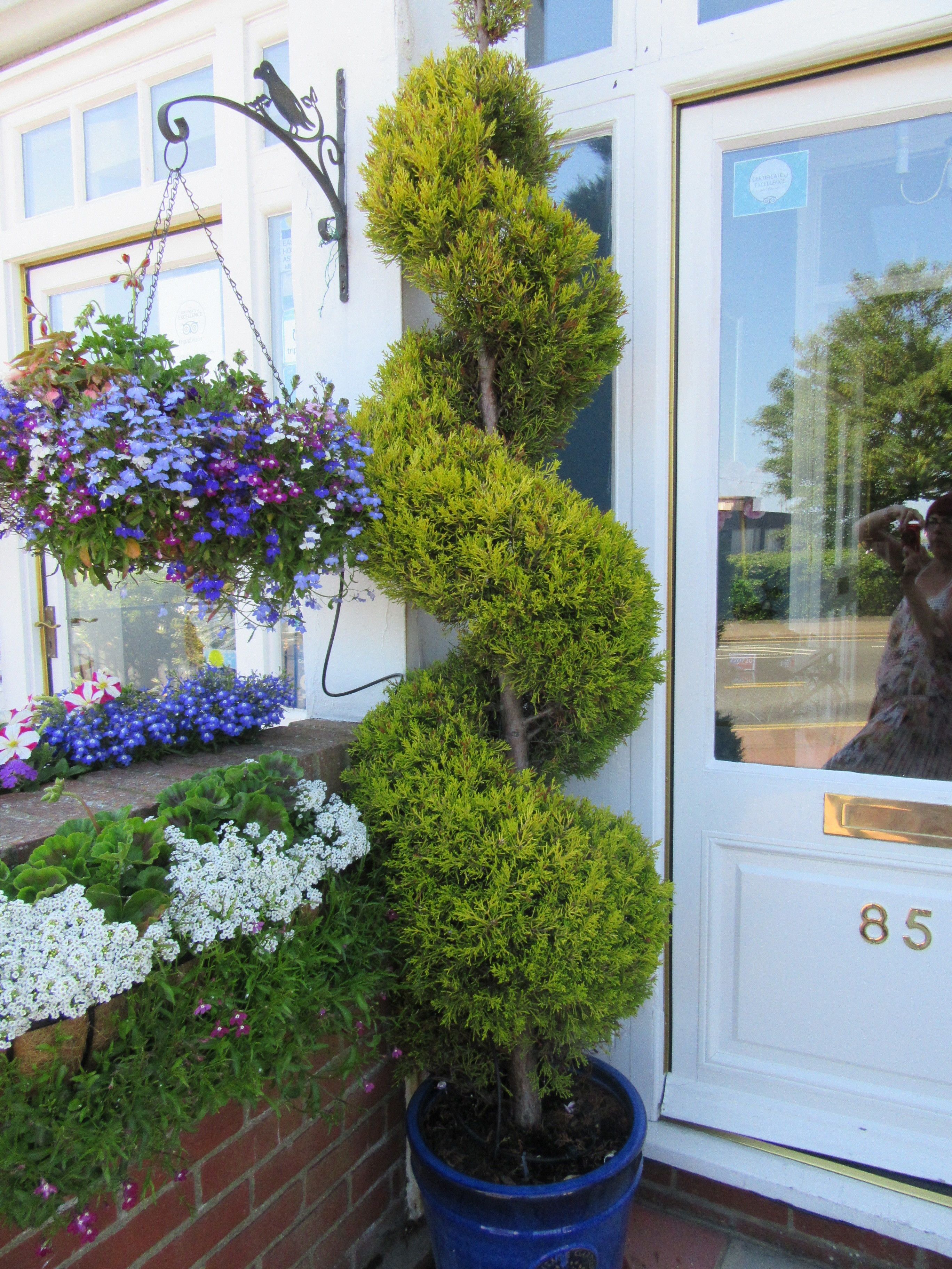 Photo - The Langtons