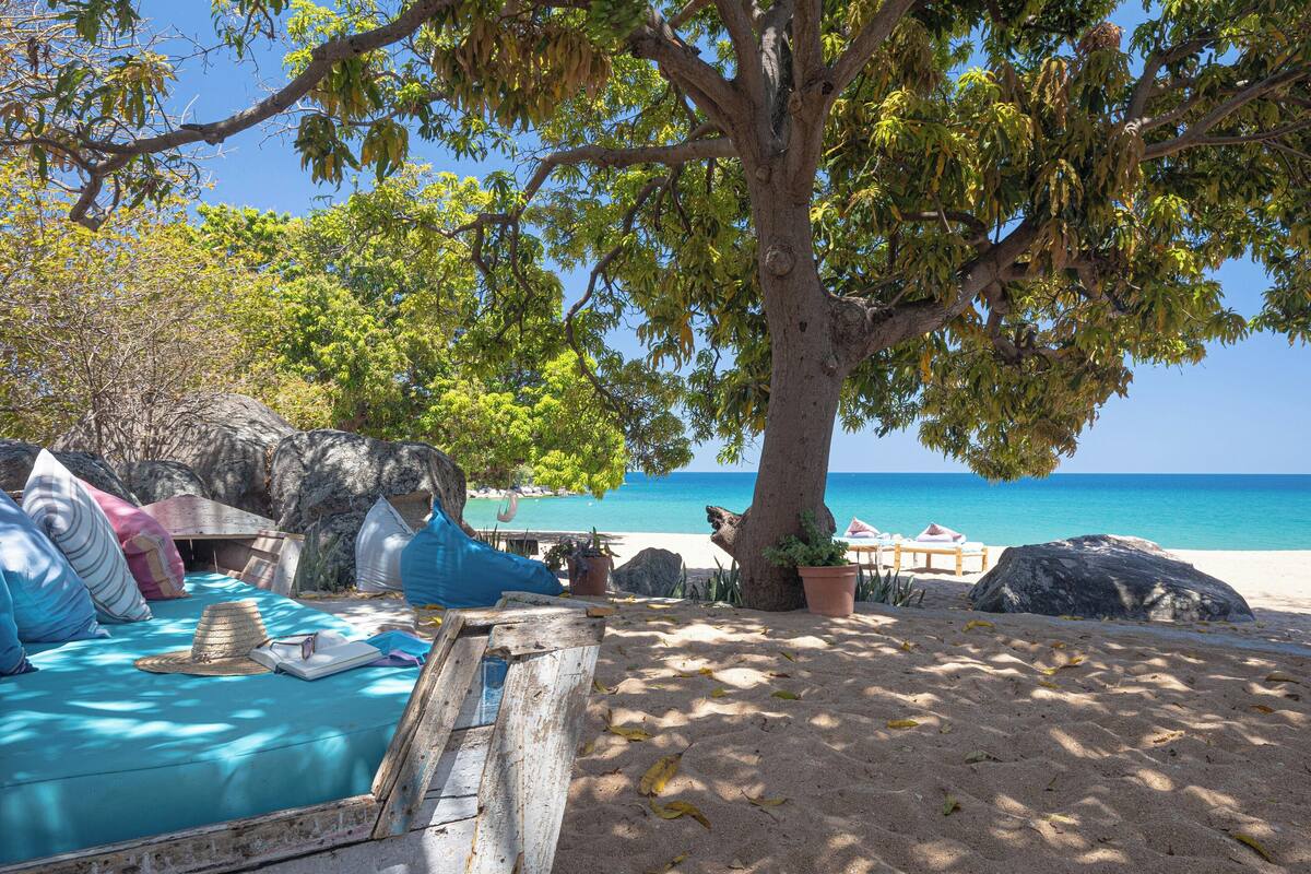 A beachside bed with a view of the ocean, a tree, and a wooden bench.