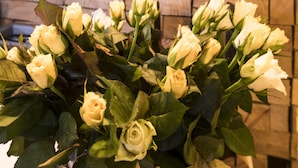 Lunch and dinner served - Daniele Hotel (Farnham)