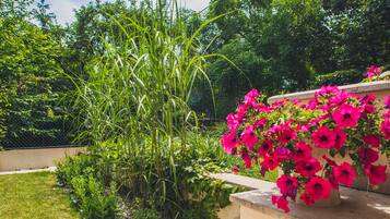 Jardín