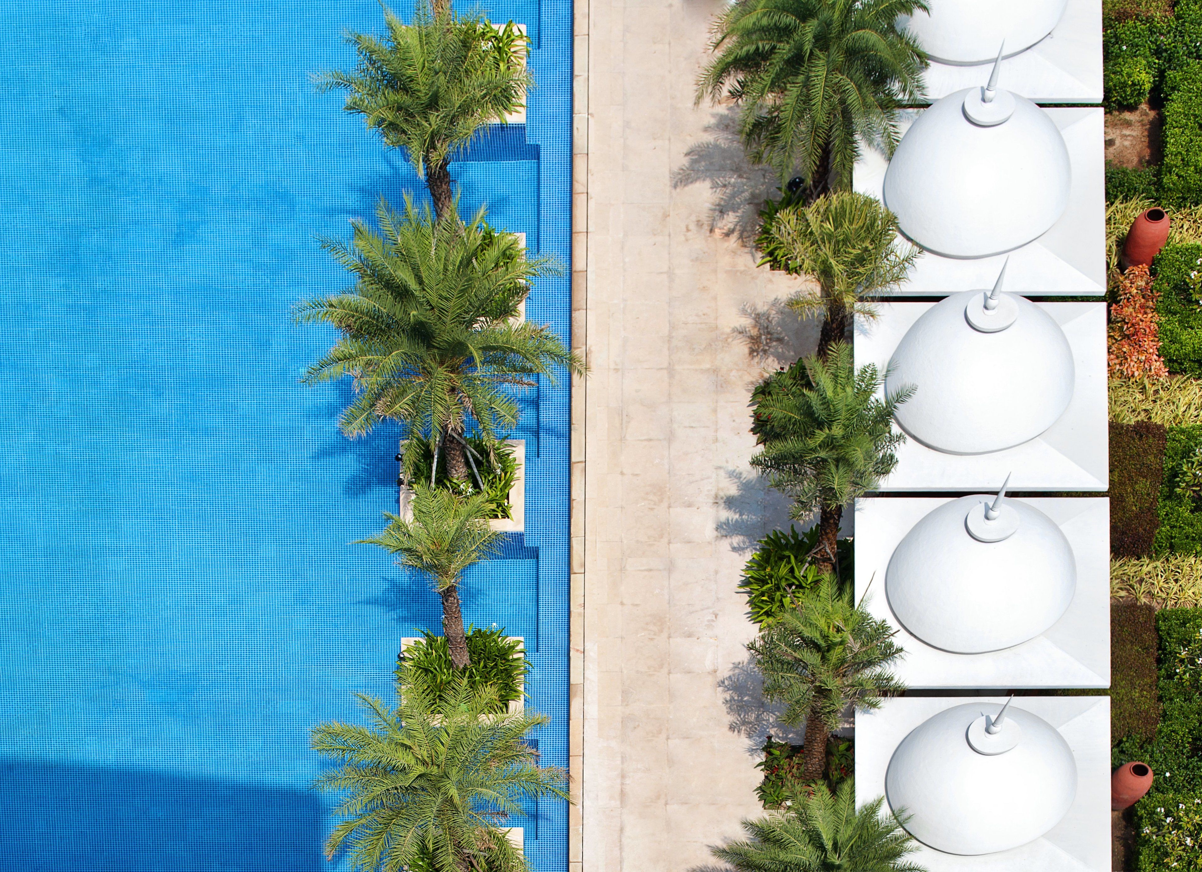 Outdoor pool, pool umbrellas