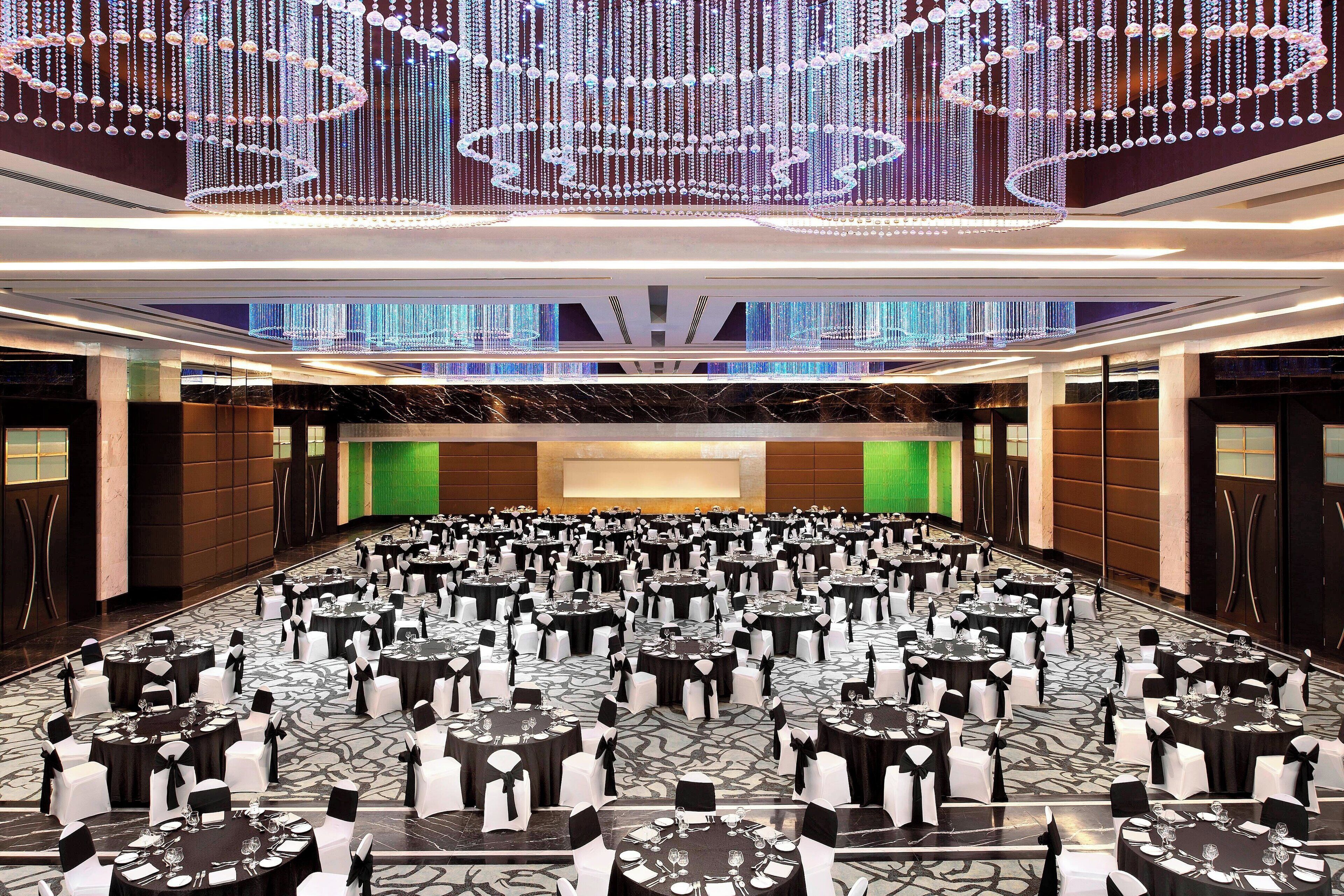 A large banquet hall with rows of round tables, each set with white chairs and black tablecloths.