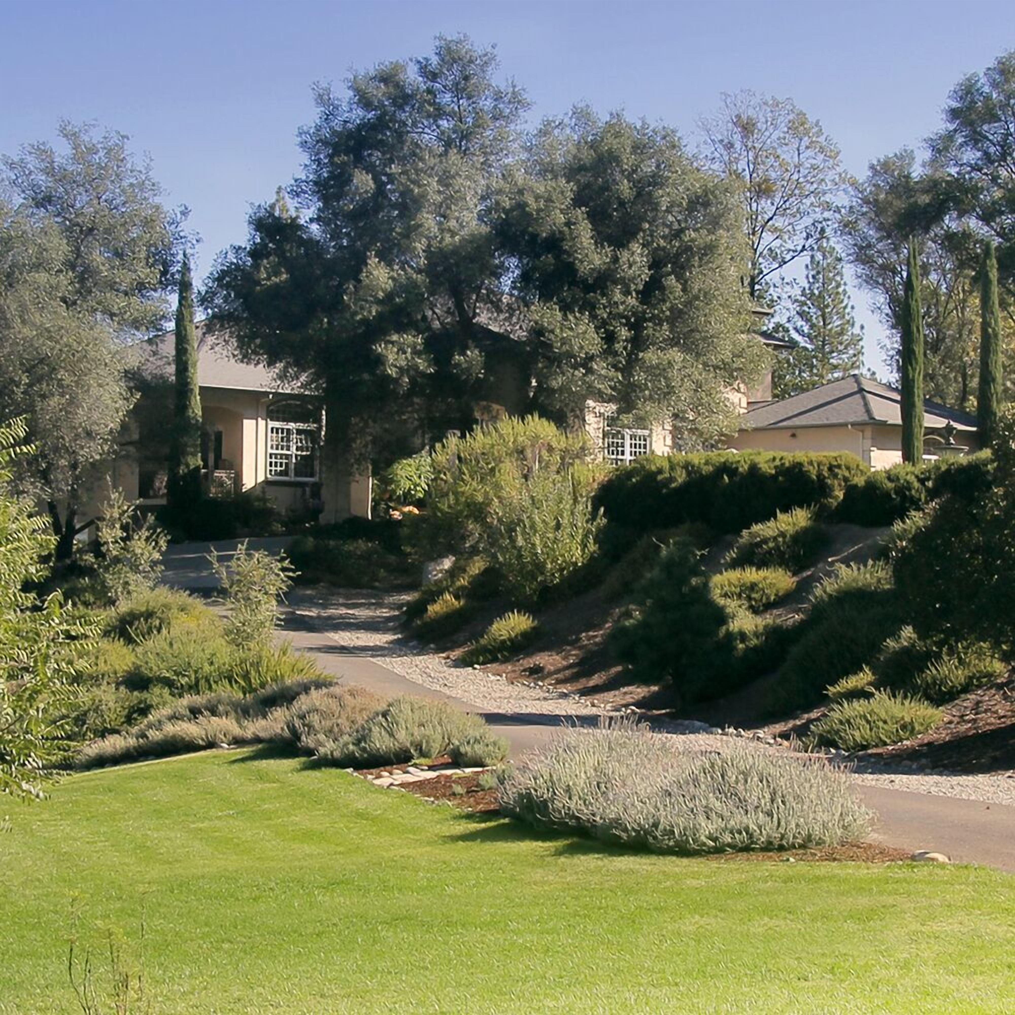 Una proprietà residenziale con vialetto lastricato, giardino curato e un grande albero in primo piano.
