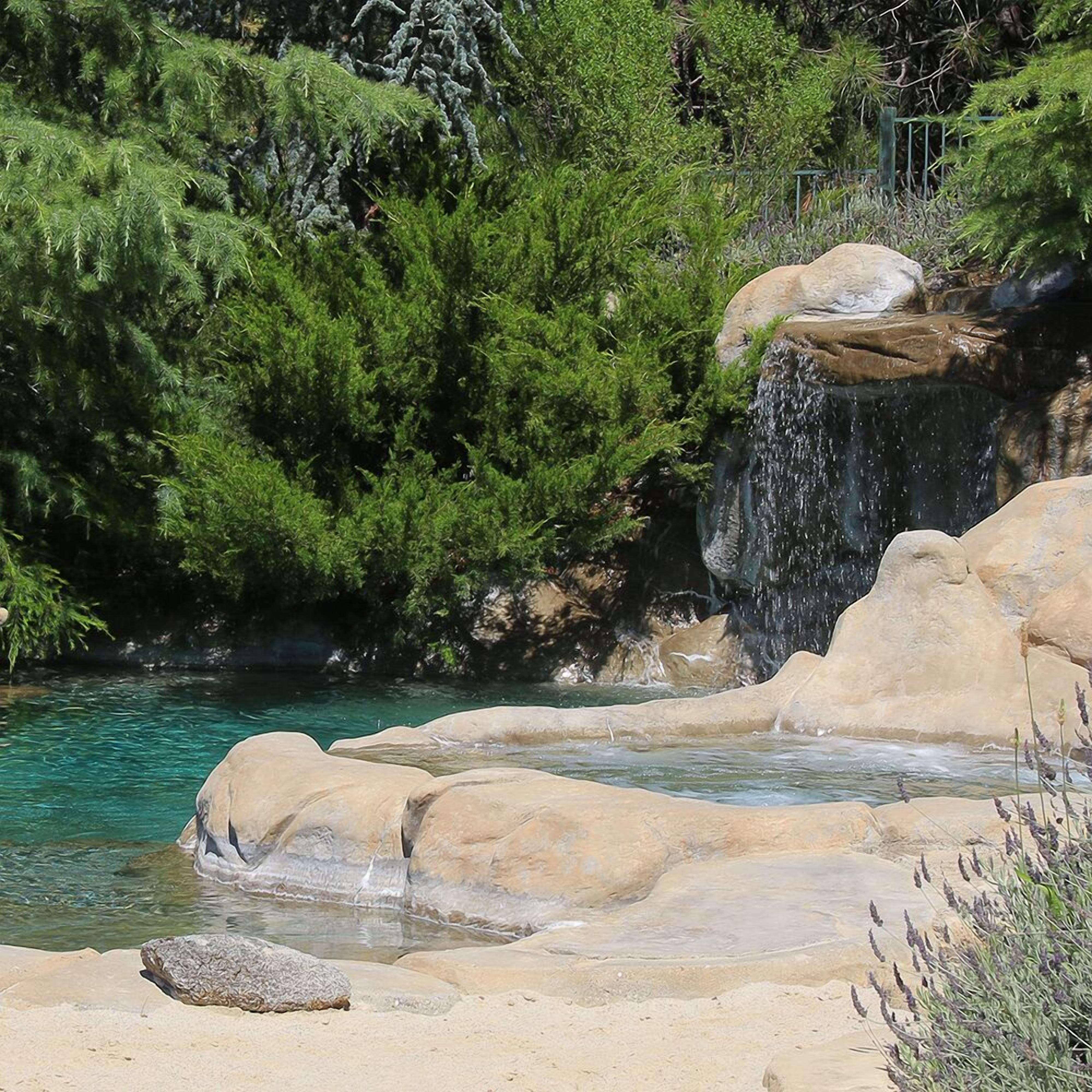 A natural pool with clear water, surrounded by rocks and dense green foliage.