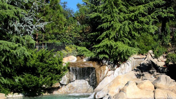A clear pool with rocks and trees in the background. - Bella Vista Bed and Breakfast (Placerville)